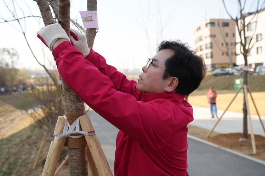 감일 능안천 산책로 내 나무 심기_3